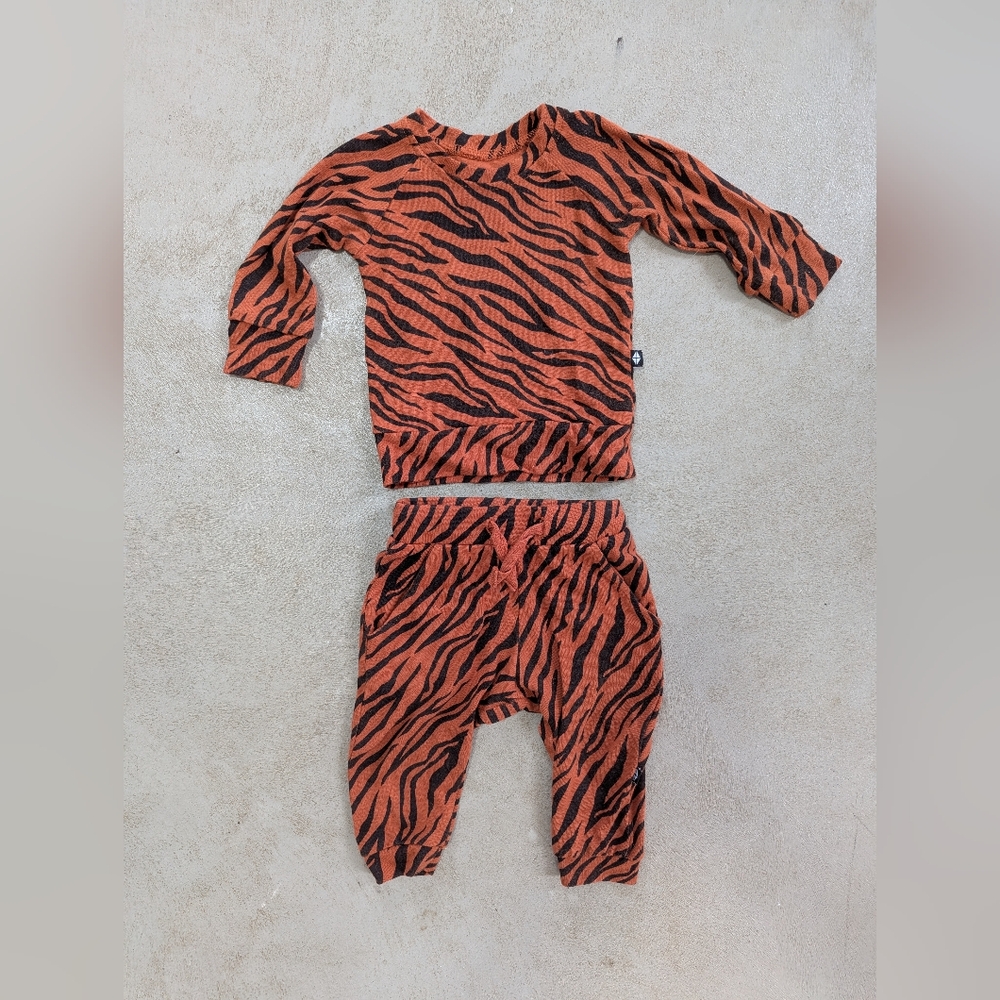 Kyte Jogger Set In Rust Tiger